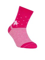 Шкарпетки дитячі Conte-kids Tip-top 5С-11СП (254)