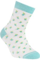 Шкарпетки дитячі Conte-kids Tip-top 5С-11СП (273)