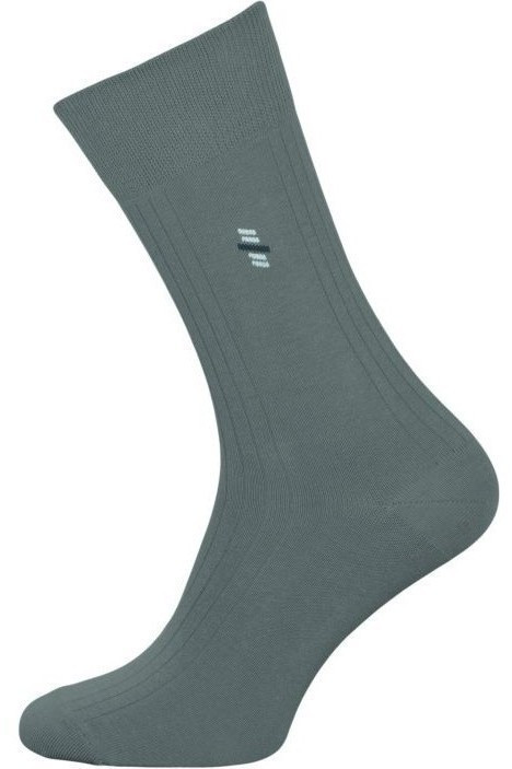 Носки мужские Chili Elegance 163-948 хлопковые