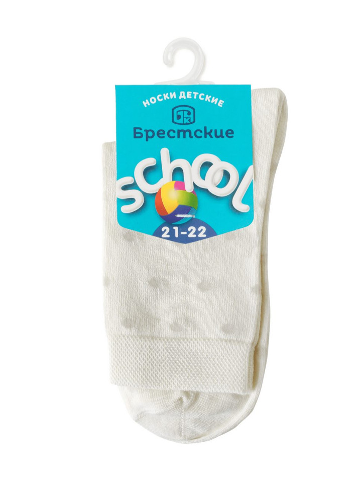 Шкарпетки дитячі Брестські School 3081 (048)