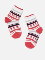 Шкарпетки дитячі Conte-kids Tip-top (700) 2 пари