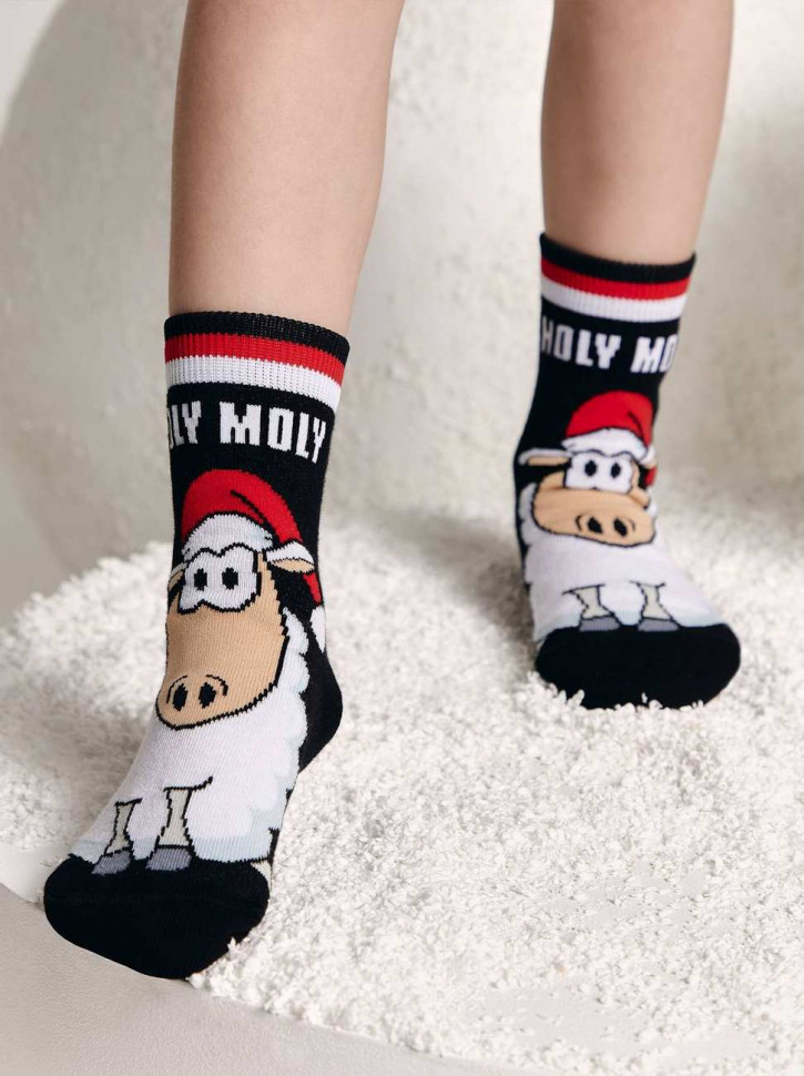 Шкарпетки дитячі Conte-kids Новорічні 21С-67СП (651)