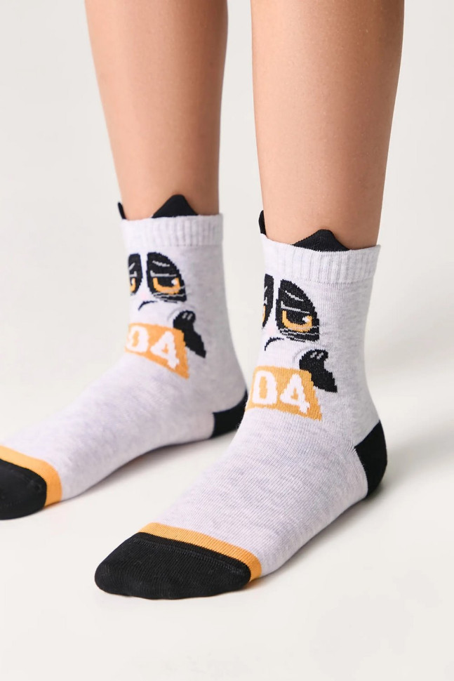 Шкарпетки дитячі Conte-kids Tip-top 17С-59СП (553)