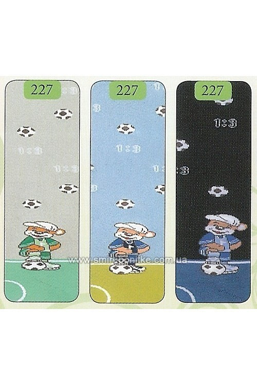 227.jpg