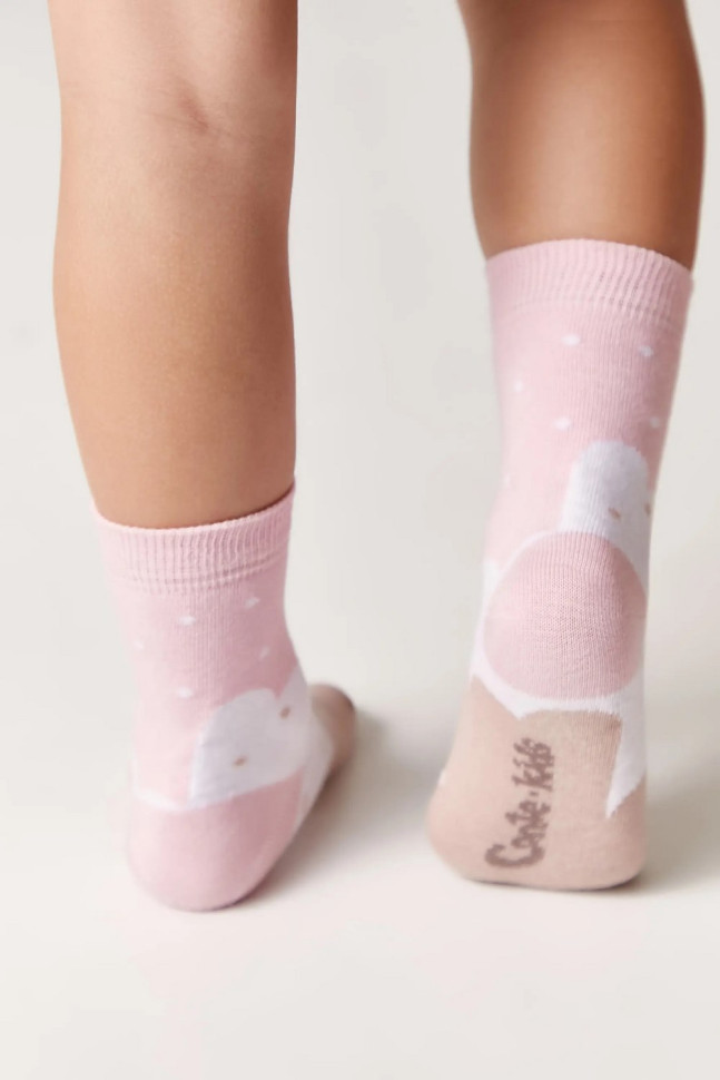 Шкарпетки дитячі Conte-kids Tip-top 5С-11СП (586)